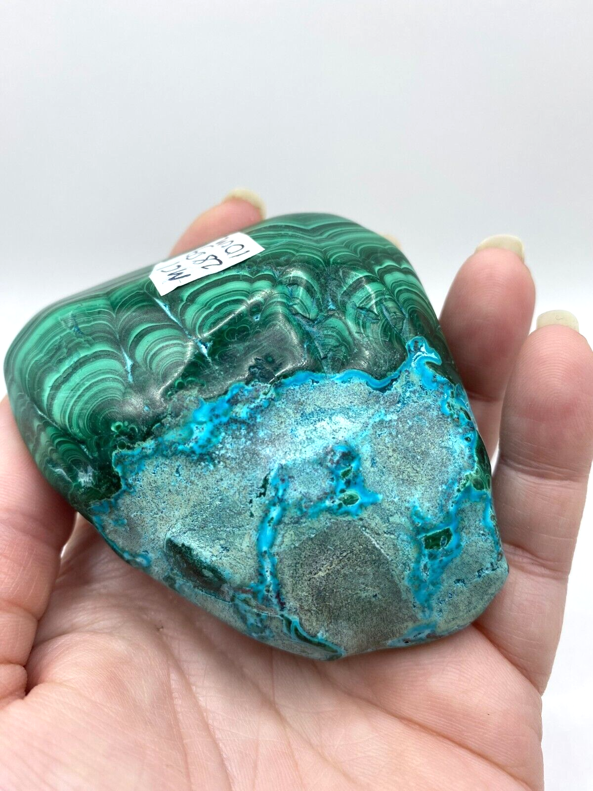 Mallacolla Malachite and Chrysocolla Mallcholla Crystal Freeform 10 cm 280g MC1