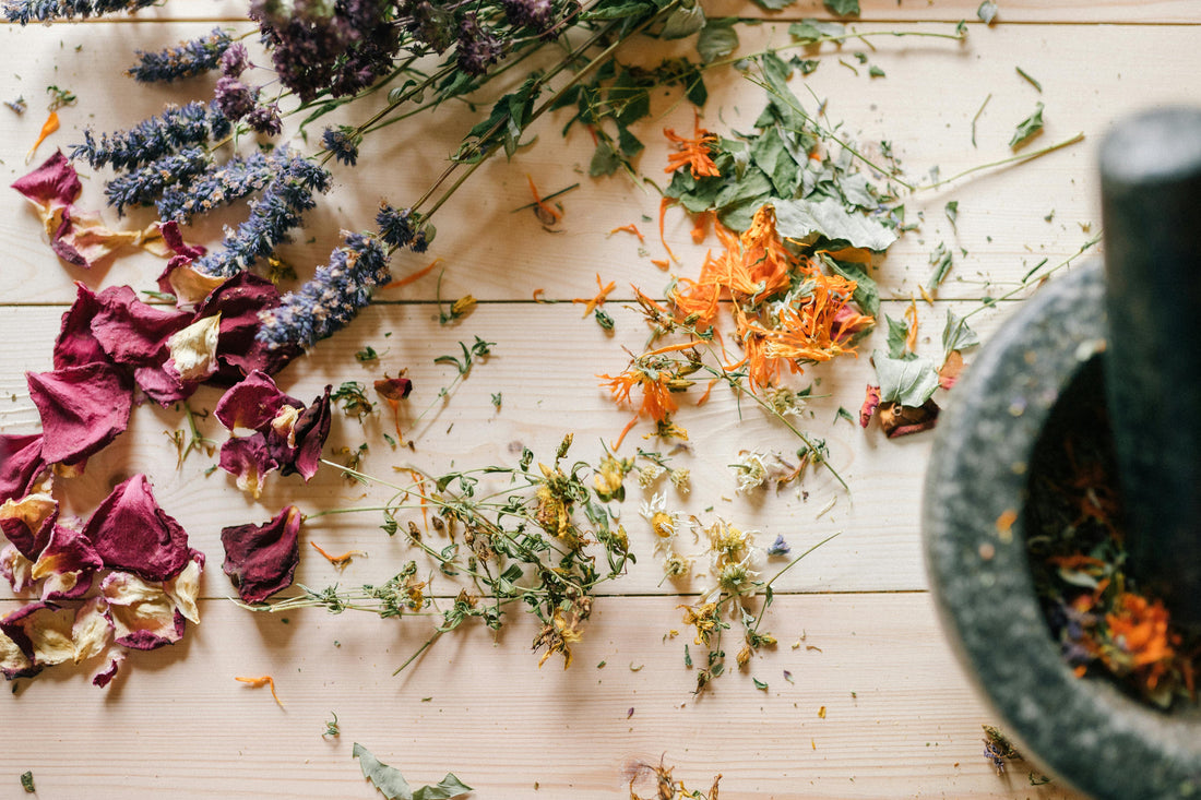 7 Herbs for Powerful Love Spells