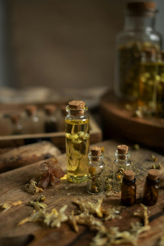 7 Herbs for Protection: Essential Tools for Protection Spells