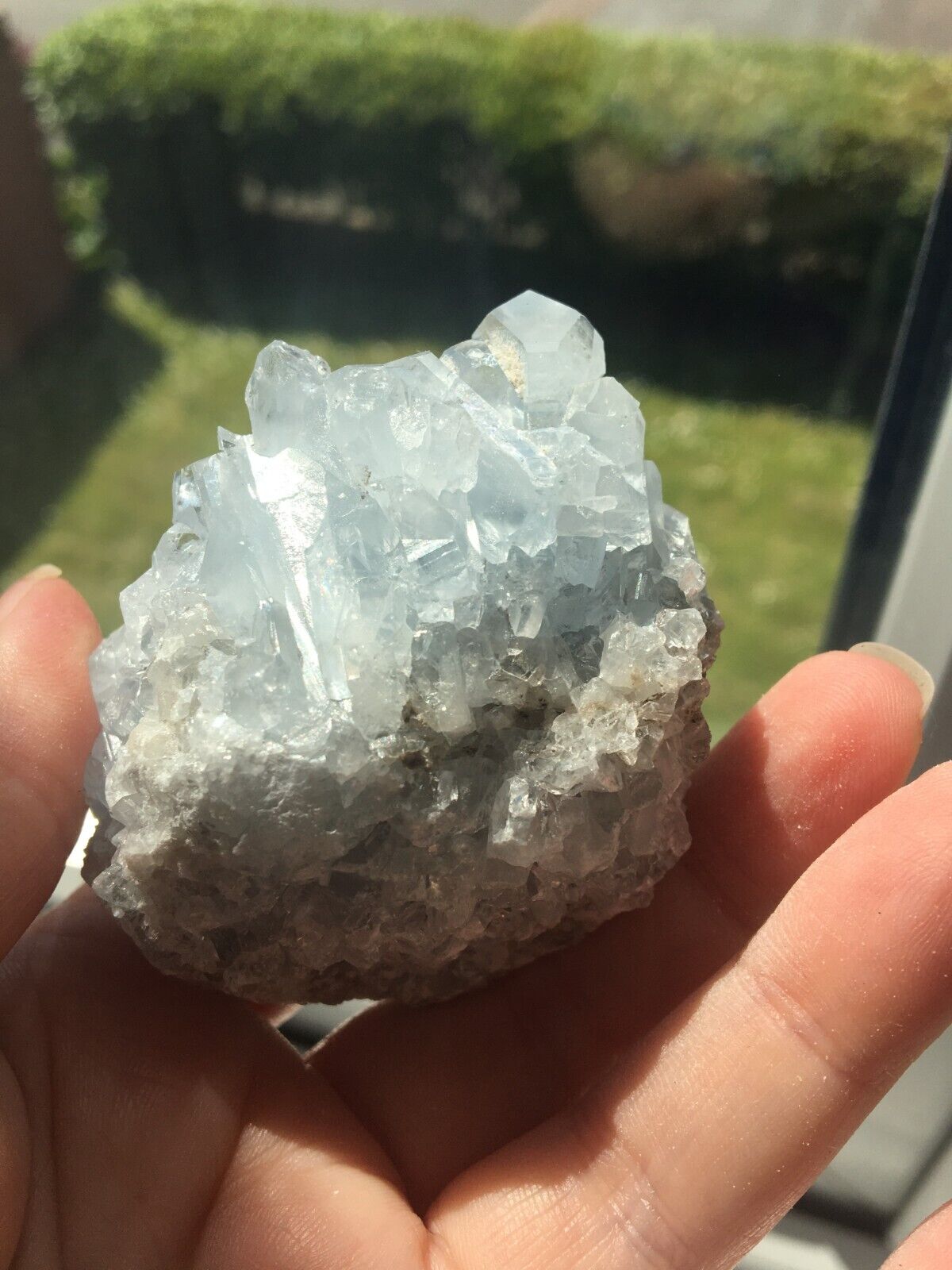 Blue Celestine Celestite 180g Geode Crystal Mineral Raw Cluster Stone Specimen